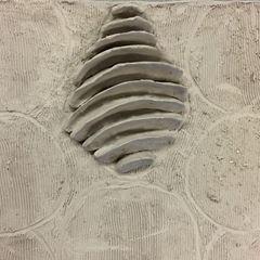 John&Sirletha Ferrarini