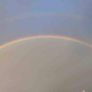 クルマ大好き人間