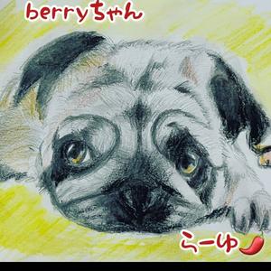 ぷいぷい🍟(°a°)N