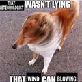 www.scrunkly.com,honkbeep_