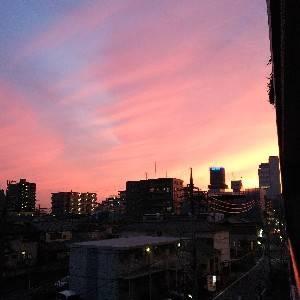 らいふうひパパ