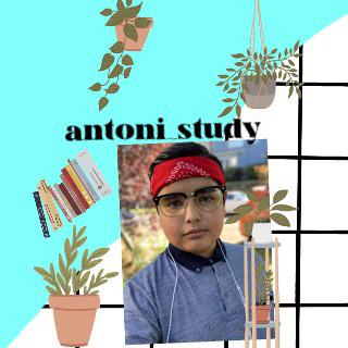 antoni study's images