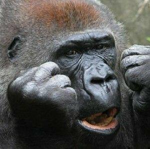 大人の勉強部屋