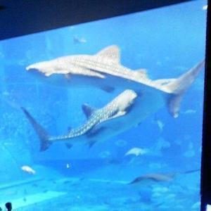 オートボディー中野