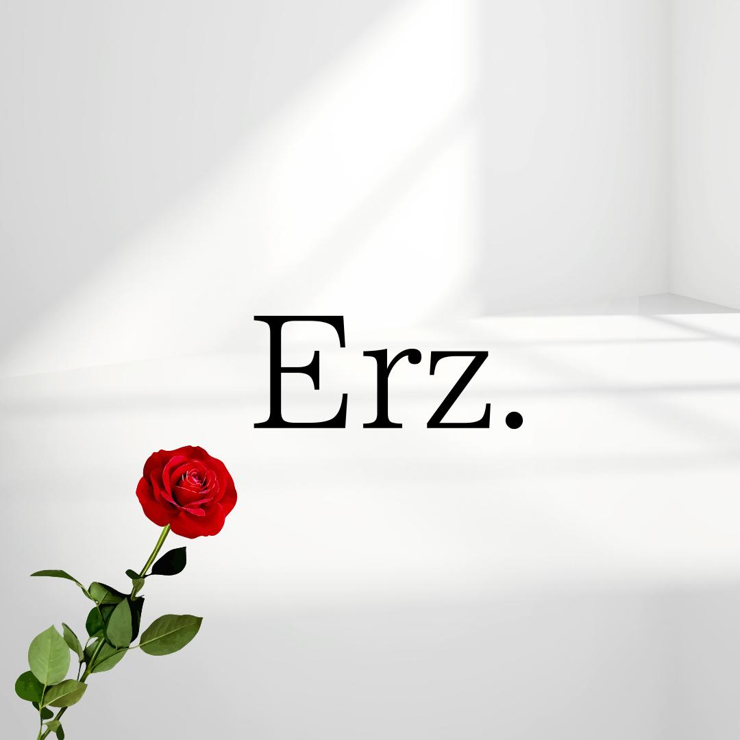 Erz./エルツの画像
