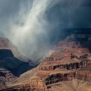 驚きと癒しの巣窟