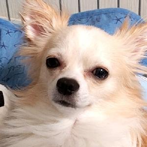 ꒰ঌじゅんじゅん