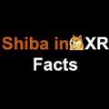 shiba inuXRFacts