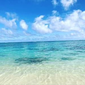 話題の動画を提供