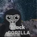 gorillavr121