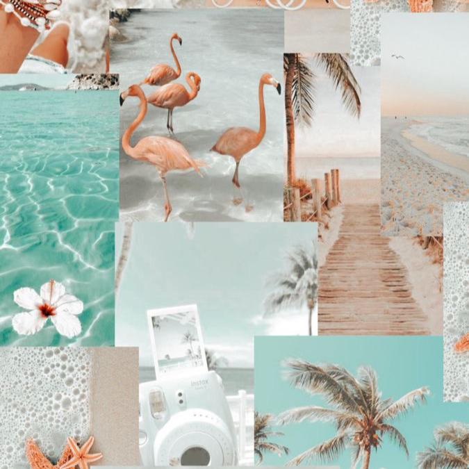 🌸⭐️Mikayla🌴🥥's images