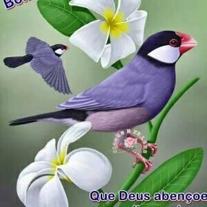 Fé em Deus sempre!!