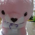 ぱんだパン