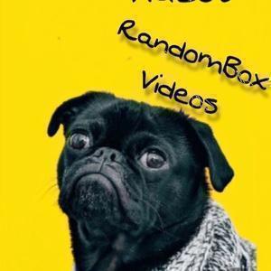 RandomBox