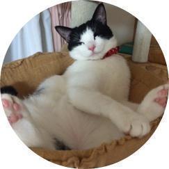 コテツとコウメ