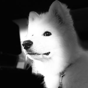 MとM @相互フォロー