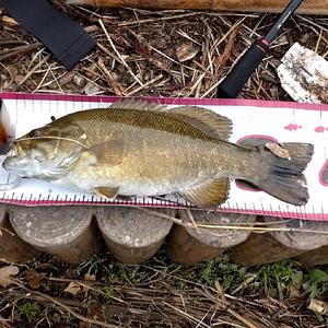 スモールポンタ