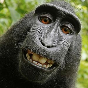 ˙˚ 𓆩 ✞ 𓆪 ˚˙