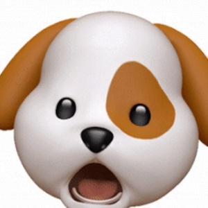 どんちゃんねる