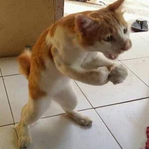 男ならかくありたい