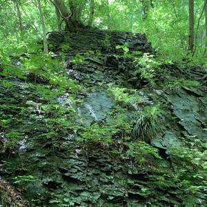 癒しのスピリチュアル