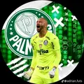 Palmeiras0996