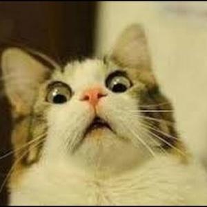 ふぃふてぃーん15