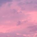 ピンクの夕焼けの画像