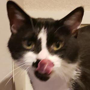 ポポちゃんねる【相互O.K】