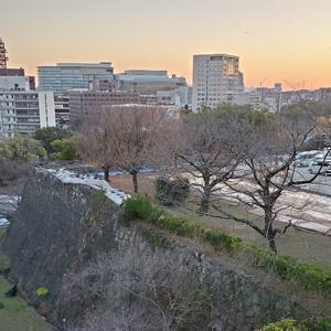 ベネゼエラの未来人