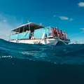 HonoluluSnorkelCo