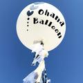 ohana balloonの画像