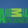Animal Planet ✓