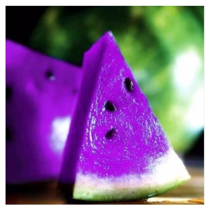 purple 🍉 🍉 🍉の画像