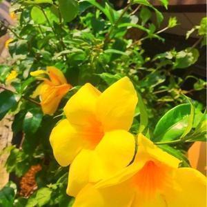 （おもしろチャンネル）モリゾウ