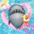 it's me shark's images