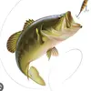 Bass_Master_Fishing4-avatar