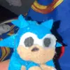 Sinc  the silly hedgehog-avatar