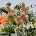 Flower Rabbitの画像