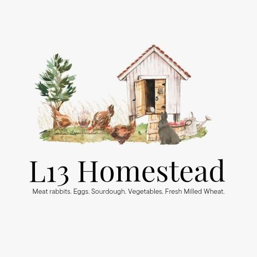 L13Homestead's images