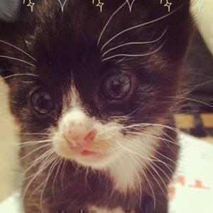 ちゃみちゃんねる