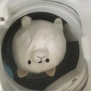 きもとさん家の日常動画