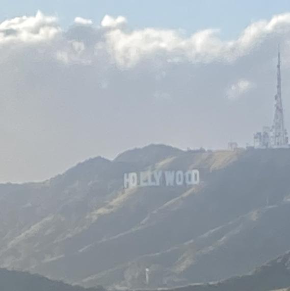 *HOLLYWOOD*BLV*'s images