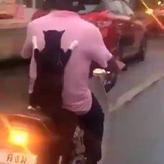 Fabio Lima Cairo Egito 