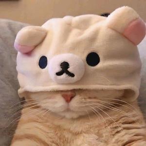 Meow《LK》✪-avatar