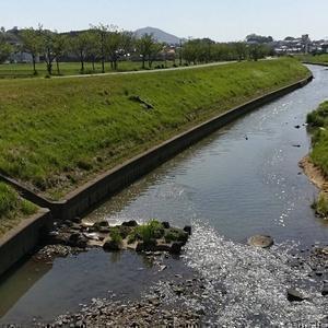 鬱病アラフォーのギャンブル動画