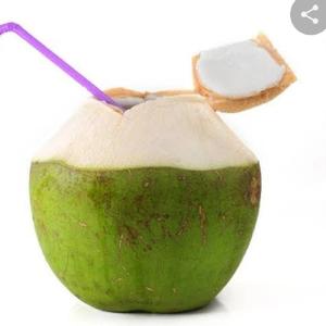 รูปภาพของ coconut