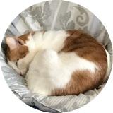 夢みる更年期@相互フォロー歓迎