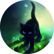 Black cats 's images
