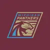Michigan Panthers-avatar